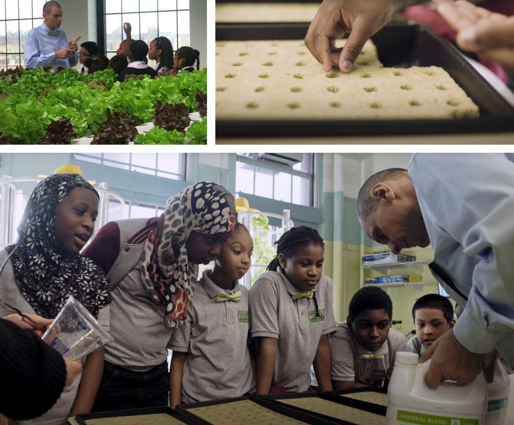 Stephen Ritz