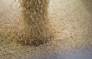 e manager famosa nel mondo come pioniera delle bioplastiche.