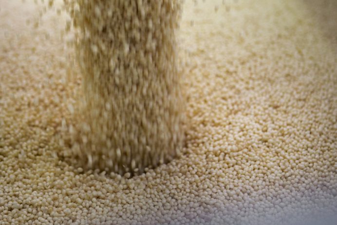 e manager famosa nel mondo come pioniera delle bioplastiche.