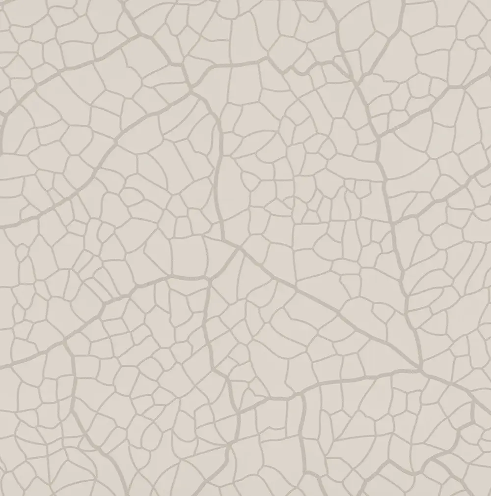 AOBN Ala di farfalla Bianco Nuvola