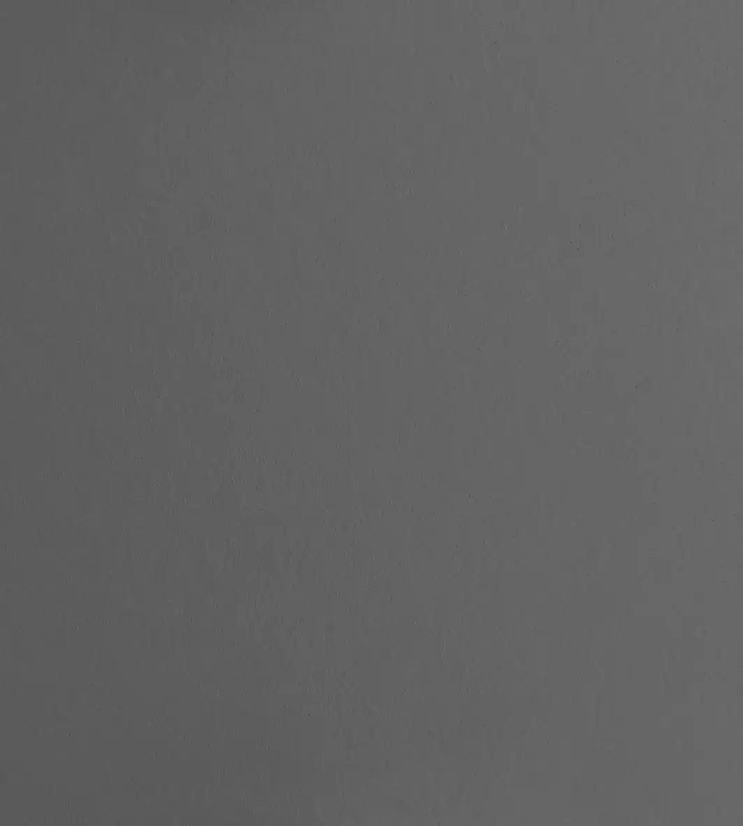 LPGG Grigio