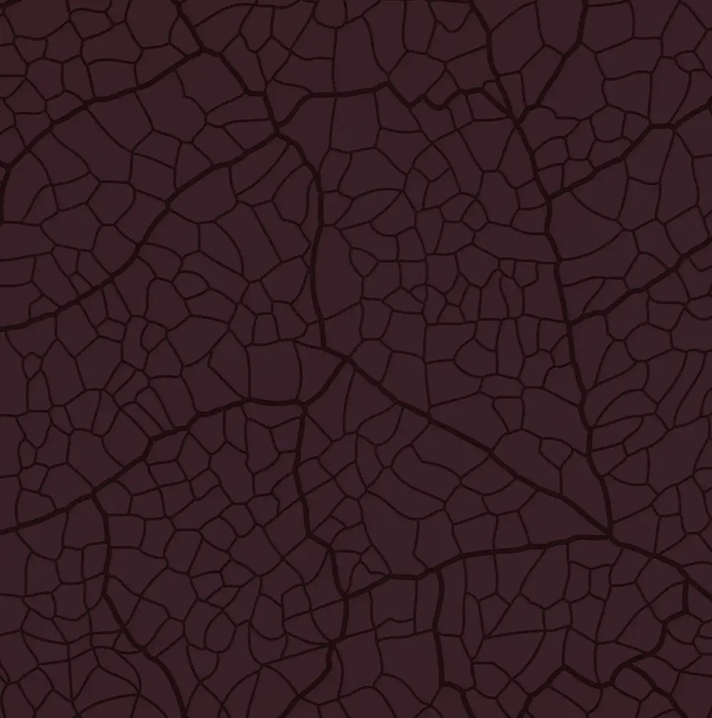 TARB Ala di Farfalla Rosso Barolo