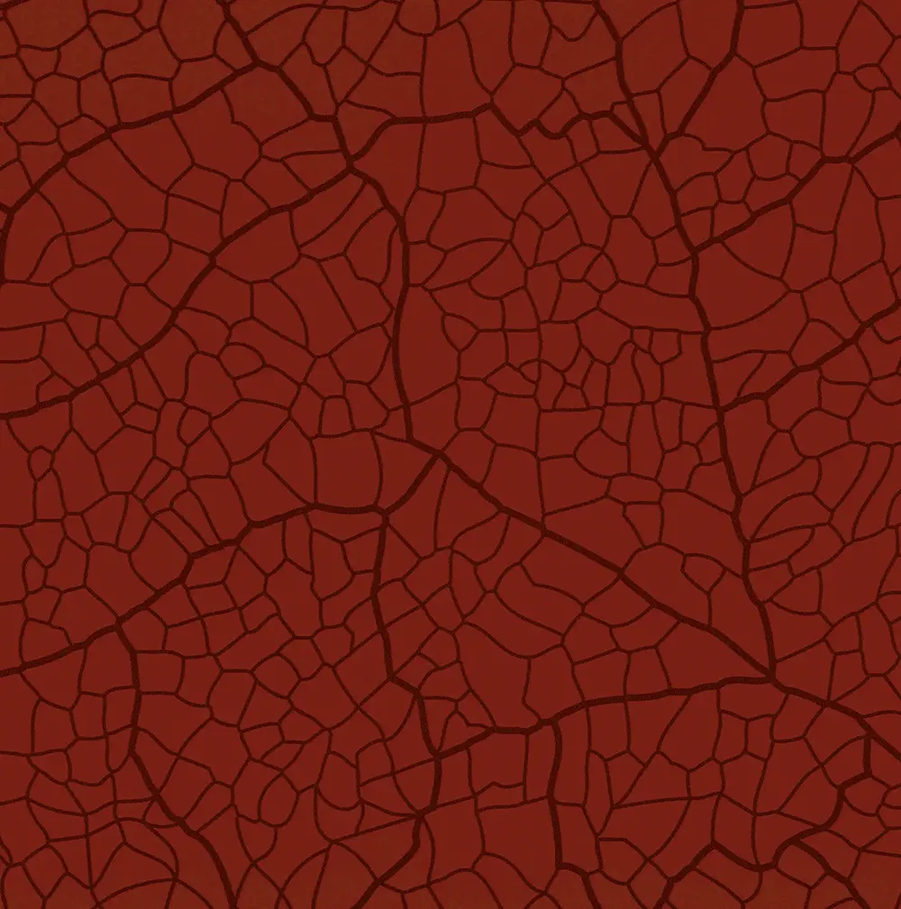 TARS Ala di Farfalla Rosso