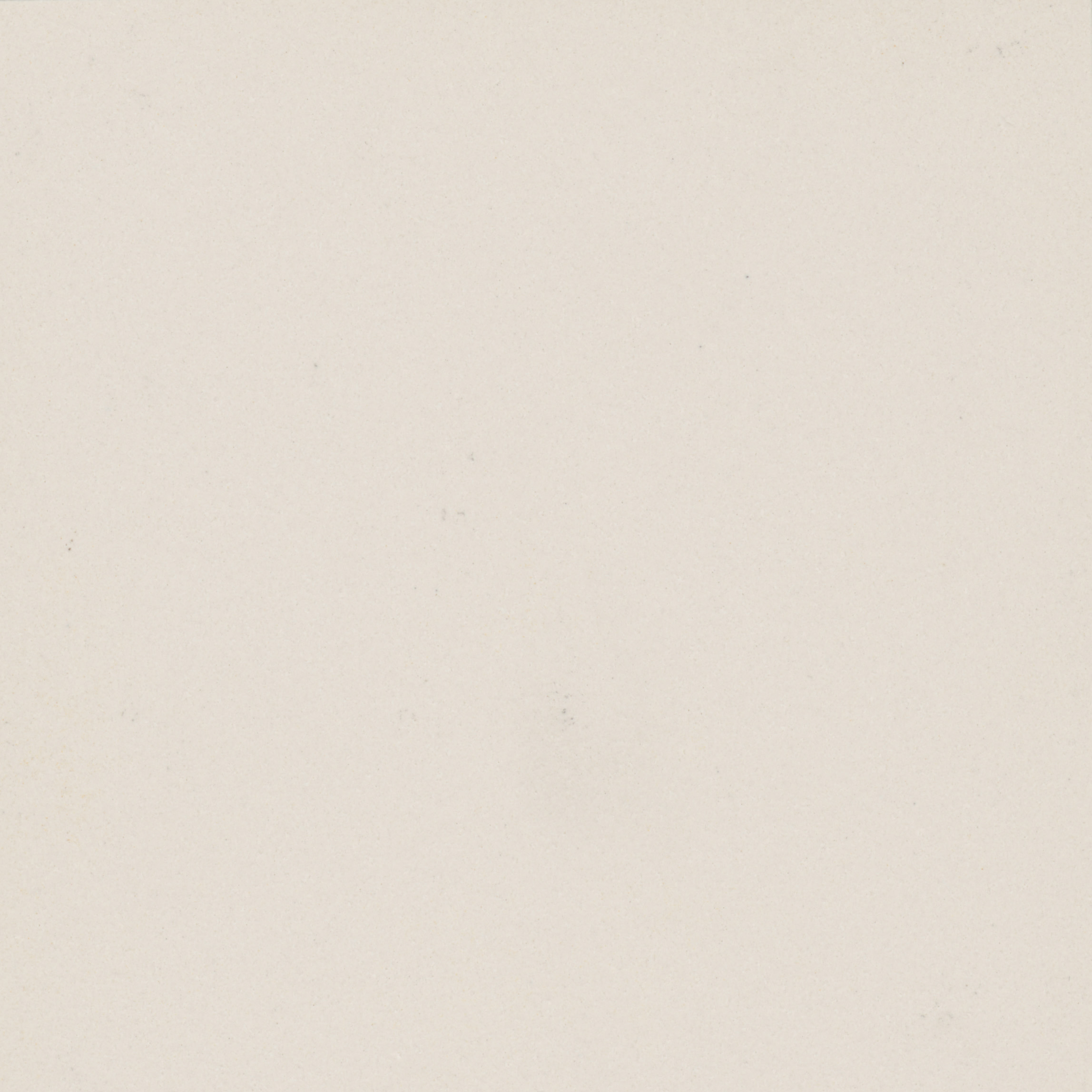CTBO Polar White